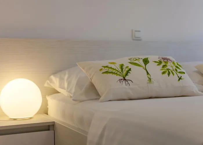 Olive Tree Apartments