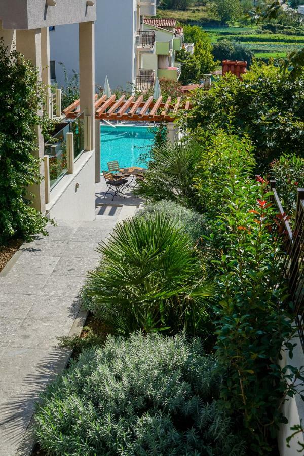 Apartment Olive Tree